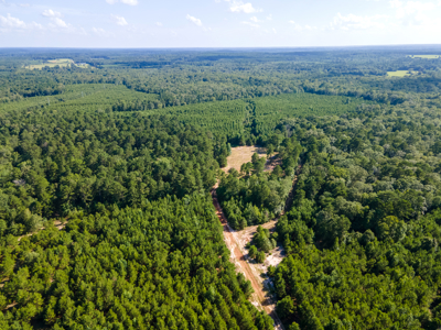 Reed Ranch - East Texas Hunting & Timber Property - image 26