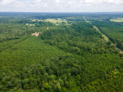 Reed Ranch - East Texas Hunting & Timber Property - image 27