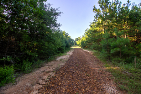 Reed Ranch - East Texas Hunting & Timber Property - image 1