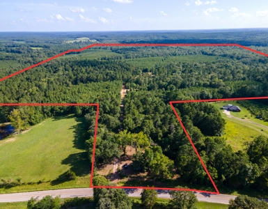 Reed Ranch - East Texas Hunting & Timber Property - image 31