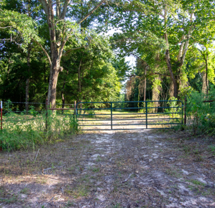 Reed Ranch - East Texas Hunting & Timber Property - image 12