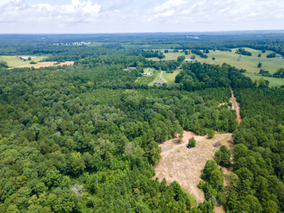 Reed Ranch - East Texas Hunting & Timber Property - image 36