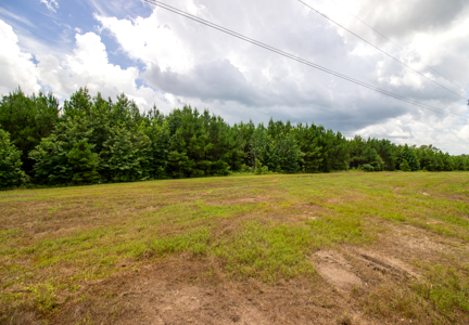 Reed Ranch - East Texas Hunting & Timber Property - image 14