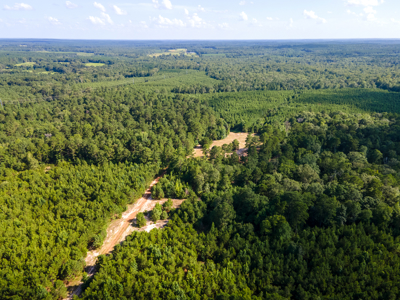 Reed Ranch - East Texas Hunting & Timber Property - image 30