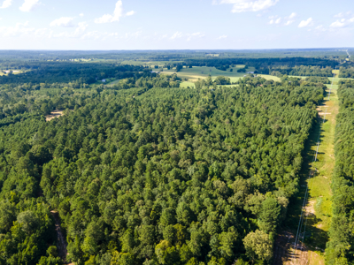 Reed Ranch - East Texas Hunting & Timber Property - image 25