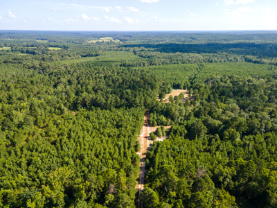 Reed Ranch - East Texas Hunting & Timber Property - image 21