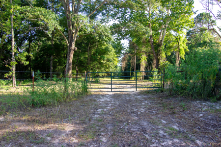 Reed Ranch - East Texas Hunting & Timber Property - image 2