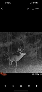 Reed Ranch - East Texas Hunting & Timber Property - image 49