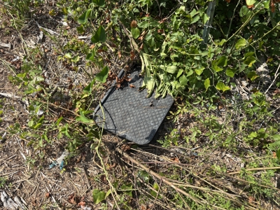 Reed Ranch - East Texas Hunting & Timber Property - image 47