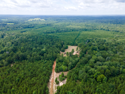 Reed Ranch - East Texas Hunting & Timber Property - image 37