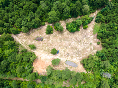 Reed Ranch - East Texas Hunting & Timber Property - image 22