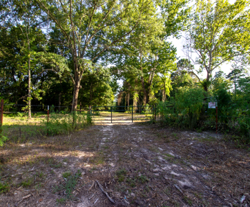 Reed Ranch - East Texas Hunting & Timber Property - image 10