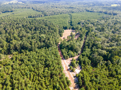 Reed Ranch - East Texas Hunting & Timber Property - image 20