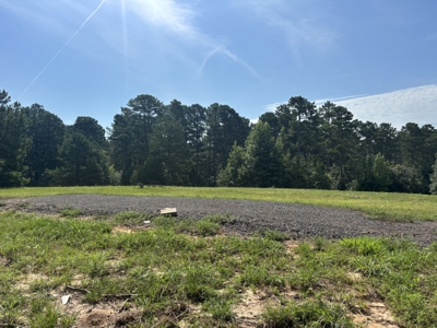 Reed Ranch - East Texas Hunting & Timber Property - image 41