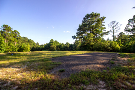 Reed Ranch - East Texas Hunting & Timber Property - image 7