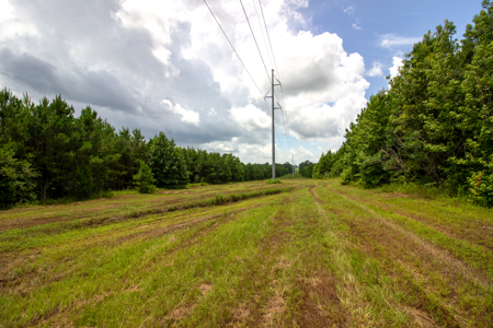 Reed Ranch - East Texas Hunting & Timber Property - image 15