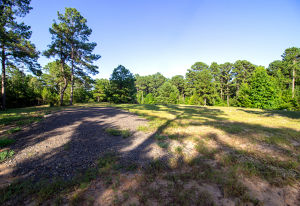 Reed Ranch - East Texas Hunting & Timber Property - image 6