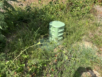 Reed Ranch - East Texas Hunting & Timber Property - image 46