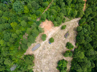 Reed Ranch - East Texas Hunting & Timber Property - image 28