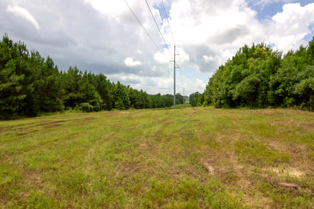 Reed Ranch - East Texas Hunting & Timber Property - image 16