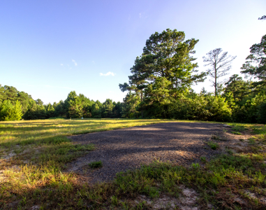 Reed Ranch - East Texas Hunting & Timber Property - image 9