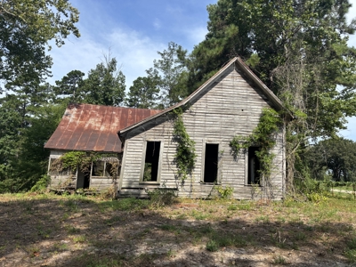 Reed Ranch - East Texas Hunting & Timber Property - image 45