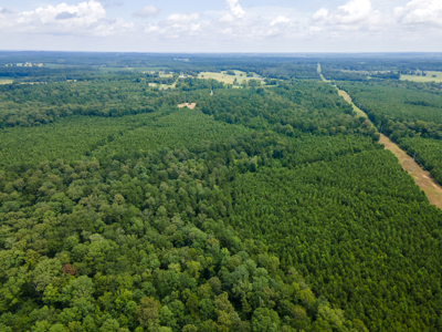 Reed Ranch - East Texas Hunting & Timber Property - image 32