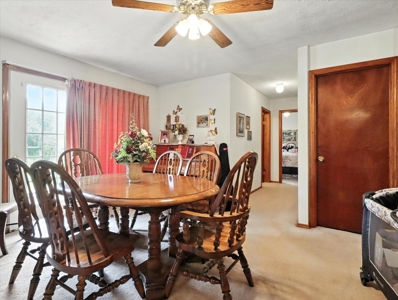 Stunning Farm Located Right off of US Hwy 63 near West Plains, MO - image 19