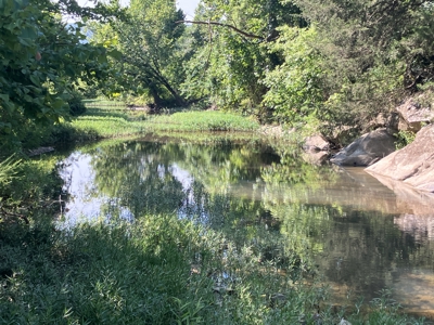 Outstanding Cattle or Hay Production Ranch with River Frontage - image 12