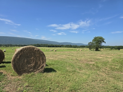 Outstanding Cattle or Hay Production Ranch with River Frontage - image 31