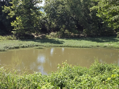 Outstanding Cattle or Hay Production Ranch with River Frontage - image 39
