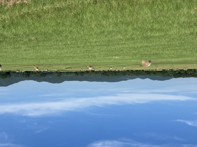 Outstanding Cattle or Hay Production Ranch with River Frontage - image 24