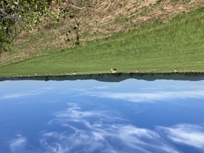 Outstanding Cattle or Hay Production Ranch with River Frontage - image 23