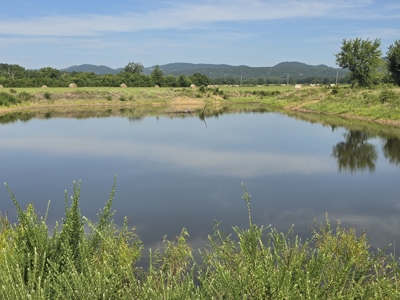 Outstanding Cattle or Hay Production Ranch with River Frontage - image 40