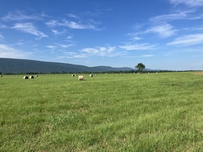 Outstanding Cattle or Hay Production Ranch with River Frontage - image 2