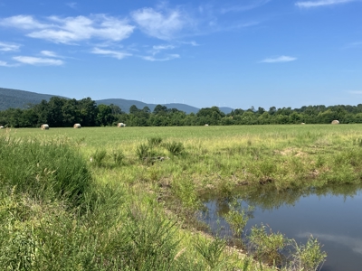 Outstanding Cattle or Hay Production Ranch with River Frontage - image 19