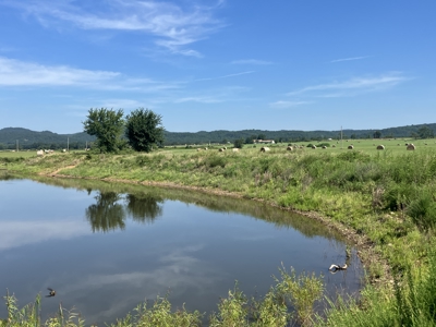 Outstanding Cattle or Hay Production Ranch with River Frontage - image 17