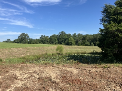 Outstanding Cattle or Hay Production Ranch with River Frontage - image 9