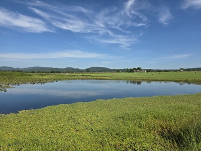 Outstanding Cattle or Hay Production Ranch with River Frontage - image 45