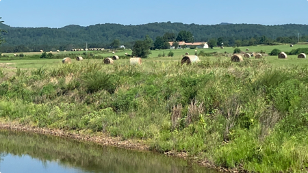 Outstanding Cattle or Hay Production Ranch with River Frontage - image 21