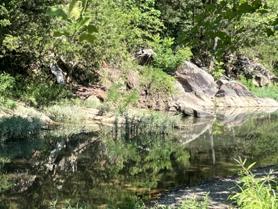 Outstanding Cattle or Hay Production Ranch with River Frontage - image 13