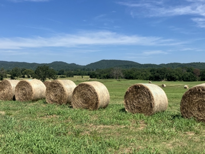 Outstanding Cattle or Hay Production Ranch with River Frontage - image 28