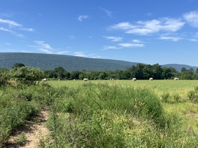 Outstanding Cattle or Hay Production Ranch with River Frontage - image 20