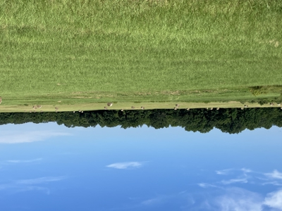 Outstanding Cattle or Hay Production Ranch with River Frontage - image 25