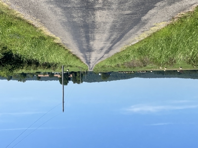 Outstanding Cattle or Hay Production Ranch with River Frontage - image 22