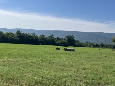 Outstanding Cattle or Hay Production Ranch with River Frontage - image 15