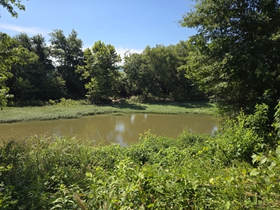 Outstanding Cattle or Hay Production Ranch with River Frontage - image 38