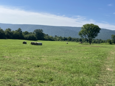 Outstanding Cattle or Hay Production Ranch with River Frontage - image 16