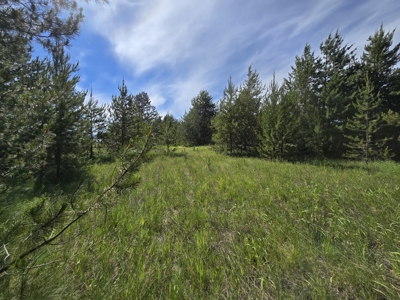 Remarkable 20 Acres on the corner of Hwy 211 & Westside Calispell - image 11