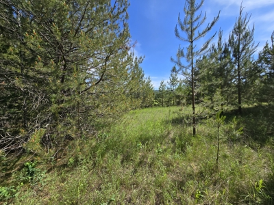 Remarkable 20 Acres on the corner of Hwy 211 & Westside Calispell - image 12